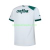 Fotbalový Dres Palmeiras Venkovní 2023/24